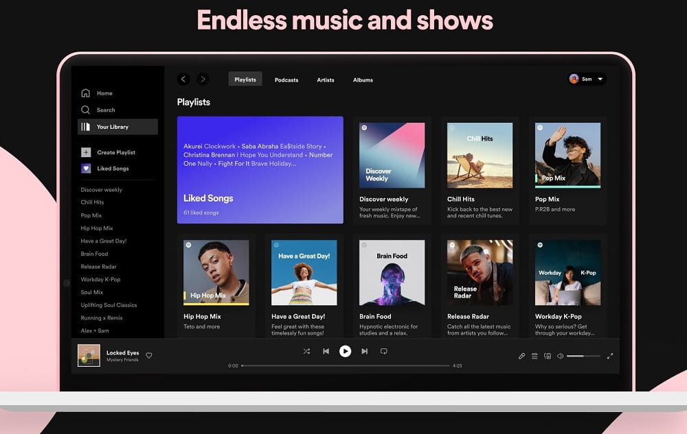 Spotify for Windows v1.1.96.785 媒体音乐播放软件绿色便携版-胡萝卜周